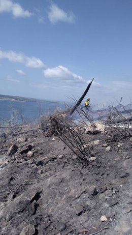 Así ha quedado el terreno quemado en Sant Antoni, Ibiza, en un incendio cuyas causas investiga la Guardia Civil.