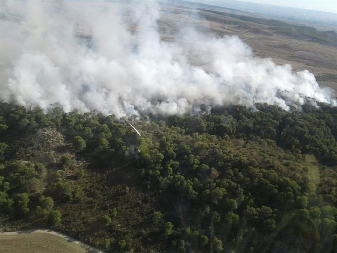 Incendio forestal