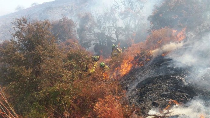 Incendio forestal en Polopos, ya extinguido