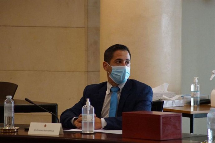 Cristian Royo, diputado prrovincial de la DPH