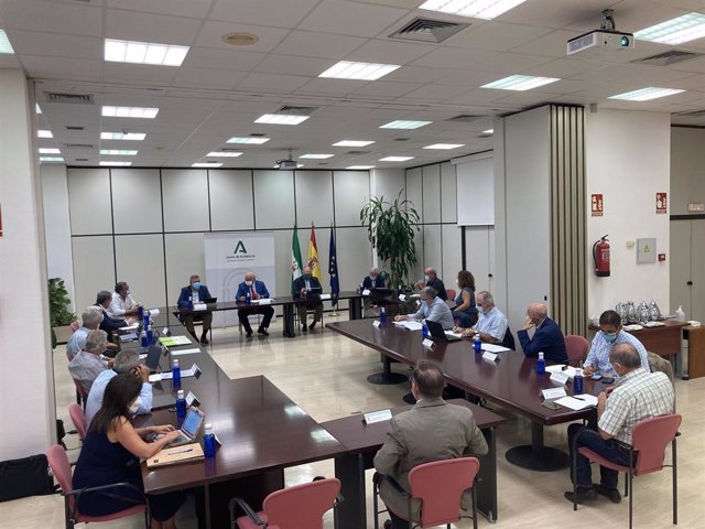 [Medios.Regionales.Csalud] Np Se Constituye El Comité Asesor Externo Para El Balance De Gestión Y Propuestas De Mejora Pandemia Covid 19 En Andalucía