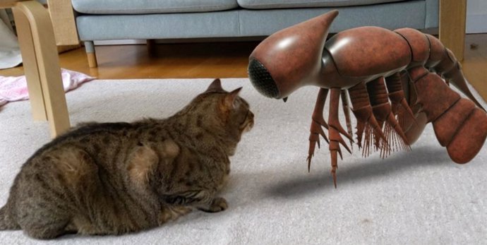 Realidad Aumentada de Google