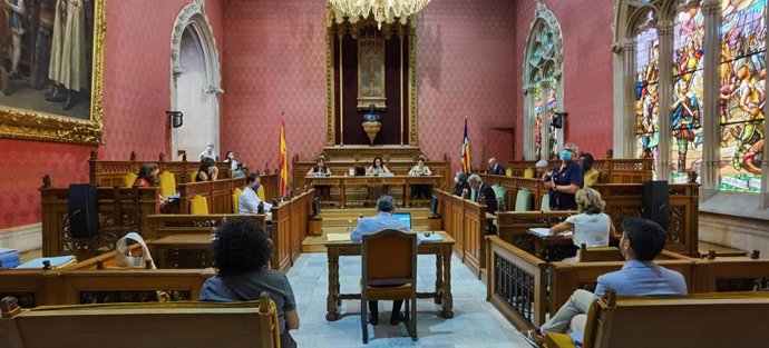 Pleno del Consell de Mallorca