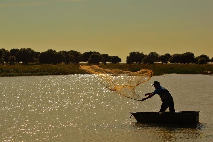 Carrefour lanza en Andalucía dorada y lubina criada en estero con su marca Círcu