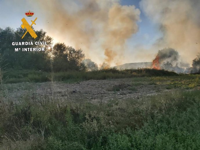 Incendio que ha afectado a una zona de arbolado y monte bajo en la zona de Santacara.