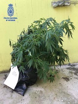 Nota De Prensa Jefatura Superior De Policia De La Rioja