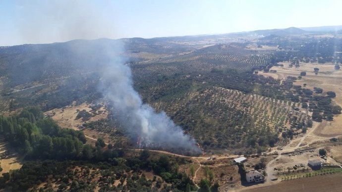 Incendio forestal en un paraje de Alanís