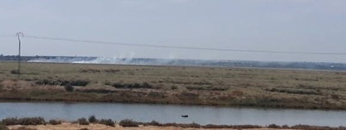 Imagen del incendio en el paraje Marismas del Burro.