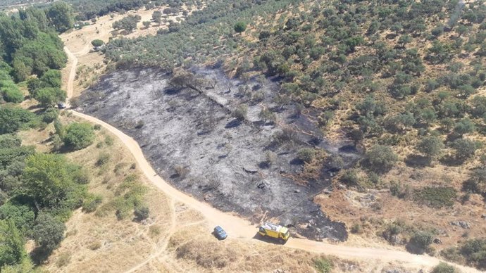 Paraje de Alanís afectado por el incendio