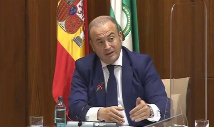 Julio Díaz, en el Parlamento andaluz.