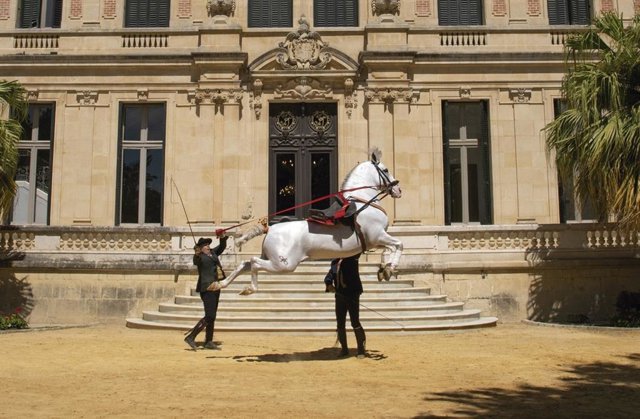 Proyecto 'Andalucía Despierta'