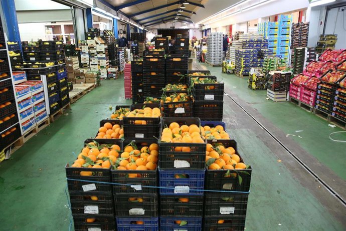 Fruta en Mercamálaga