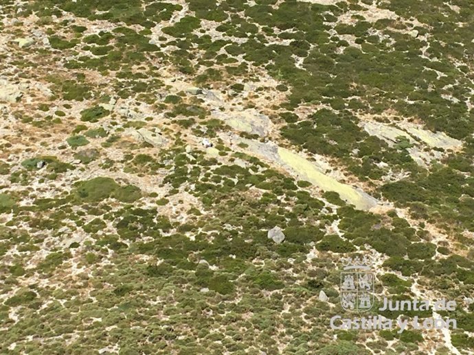 Imagen del lugar donde se ha tenido que auxiliar a una mujer que sufrió una indisposición en Los Riscos de Villarejo, en la provincia de Ávila.