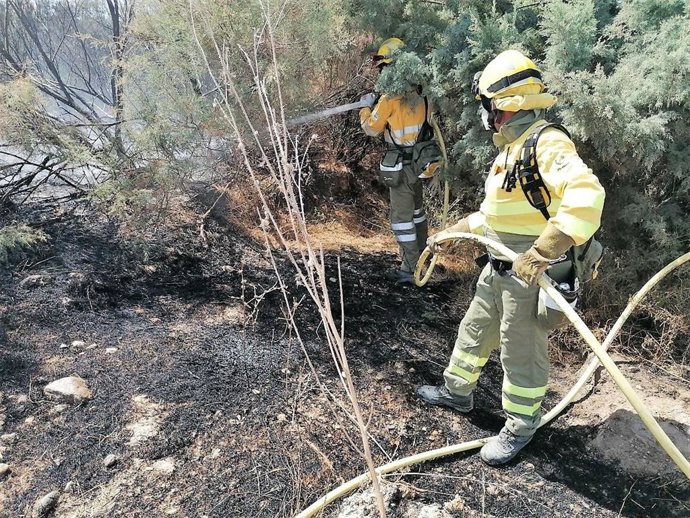 Efectivos del Plan Infomur dan por controlado un incendio declarado en el paraje del Hinojar, en Lorca