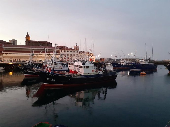 Barcos de pesca de bajura amarrados en el Puerto de Bermeo (Bizkaia)