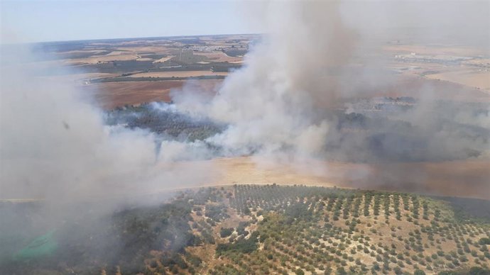 Incendio declarado en el paraje Corredor Verde de Benacazón
