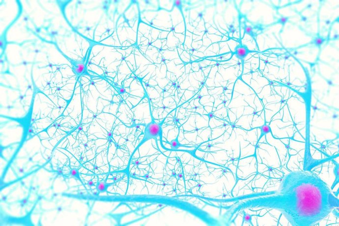 Ilustración en 3D de neuronas en el cerebro
