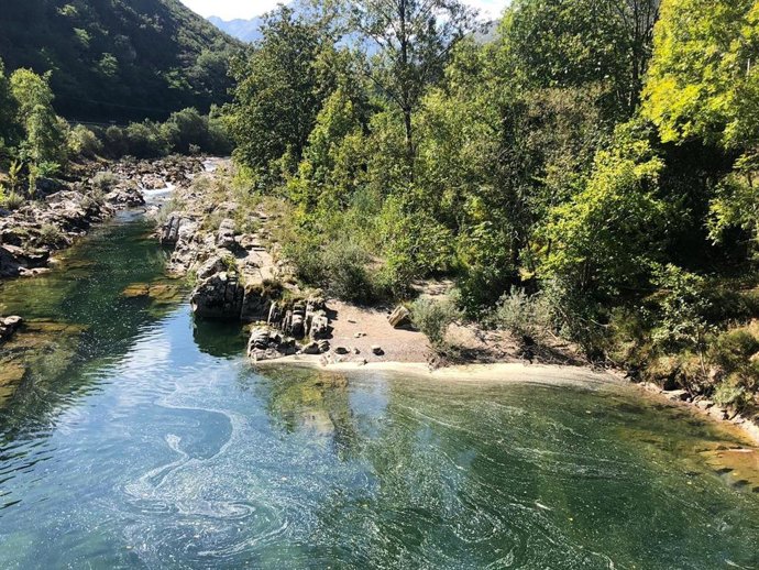 Vertido en el Río Dobra
