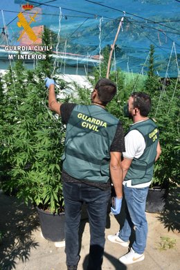 Imagen de la Guardia Civil sobre el desmantelamiento del laboratorio clandestino de marihuana