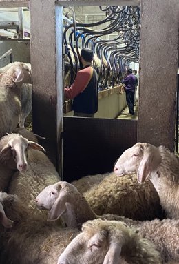 Cvirus.- Urcacyl crea una bolsa de trabajo junto a sus cooperativas para granjas