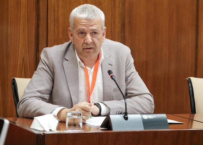 El secretario general de SATSE en Andalucía, José Sánchez Gámez, en el Parlamento