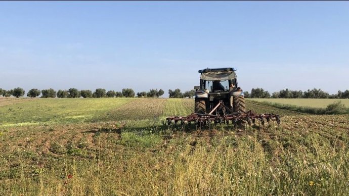 Un tractor realiza labores agrícolas