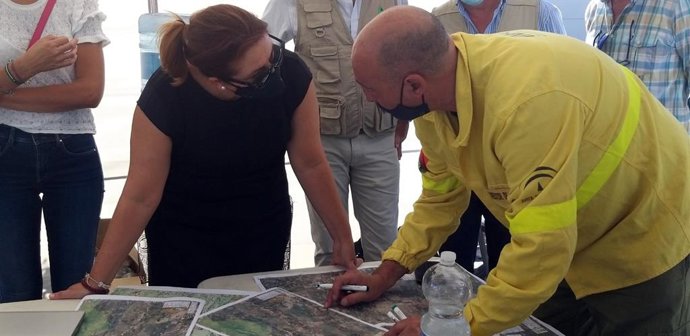 Huelva.- Incendios.-Crespo señala que el incendio tiene más de 4.000 hectáreas d