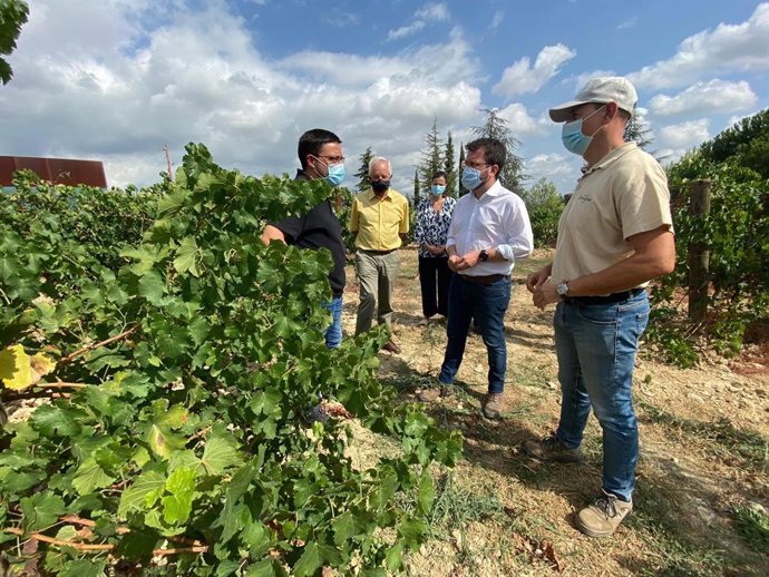 El vicepresidente de la Generalitat y conseller de Economía y Hacienda, Pere Aragons, este viernes antes de visitar la bodega Juvé & Camps