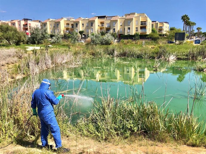 Labores de fumigación en parque Olivar del Zaudín para prevenir el virus del Nilo