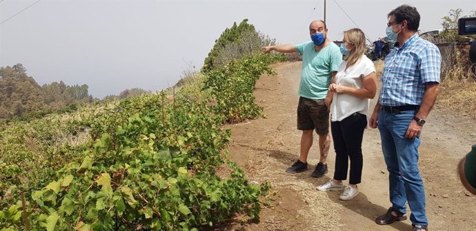 El incendio de Garafía (La Palma) afecta a cultivos de vid, frutales y proteas 