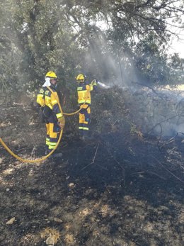 Efectivos del Ibanat actuando en el fuego de Es Pujolet.