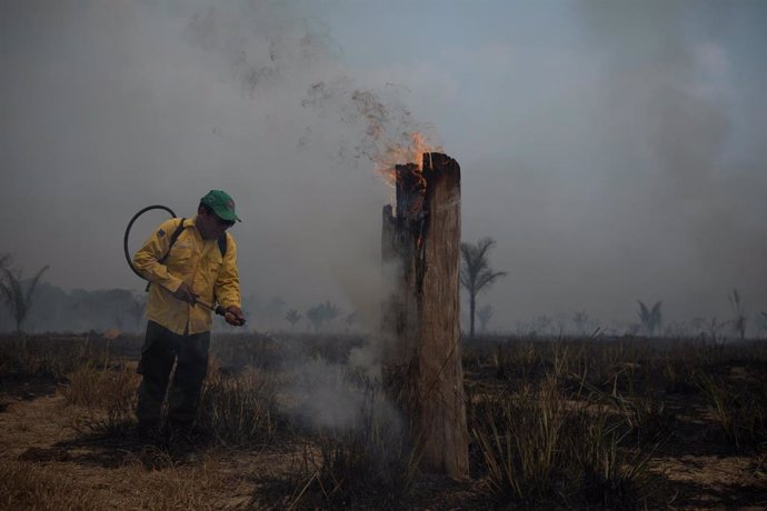 Un bombero trata de apagar un incendio generado en la zona de la selva amazónica. 