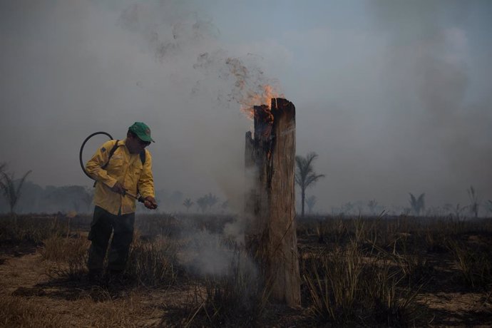 Brasil.- Brasil suspende todas las acciones de combate contra la deforestación e