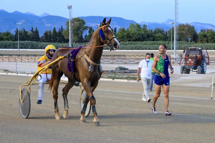 Los dos contendientes en el duelo atleta contra caballo.