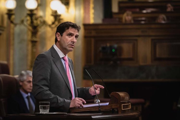 El PP plantea una iniciativa en el Congreso para potenciar el comercio electrónico y garantizar suministro