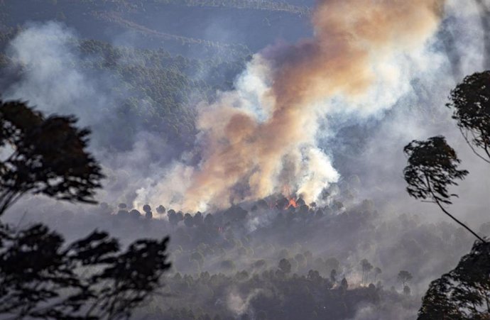 Incendio en Almonaster la Real (Huelva)