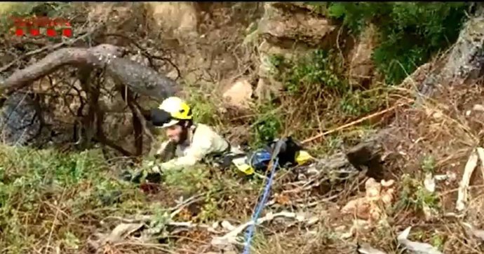 Rescatan un cachorro caído 15 metros de un acantilado en Palafrugell (Girona)