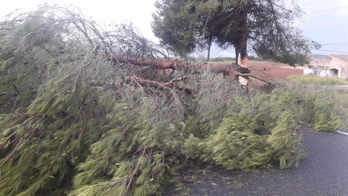 Efectos de las tormentas sobre las carreteras de Mallorca.
