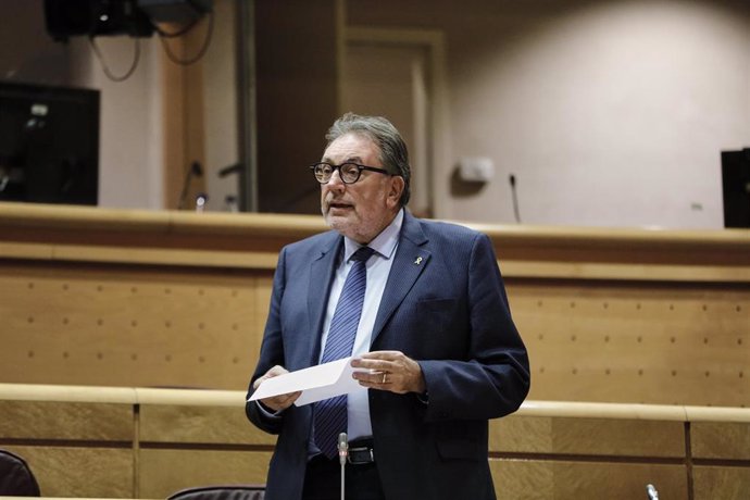 El senador de JxCat Josep Lluís Cleries, durante su intervención en una sesión de control al Gobierno en el Senado, en Madrid.