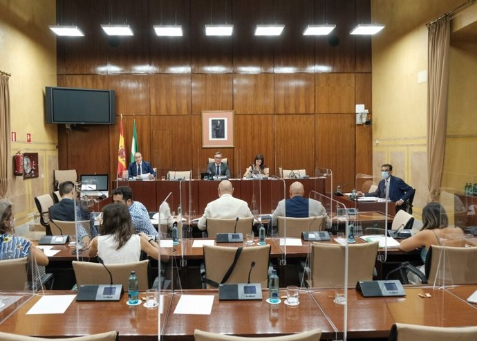 Sesión de la comisión de estudio sobre la recuperación económica y social de Andalucía a causa de la pandemia de la Covid-19. Foto de archivo