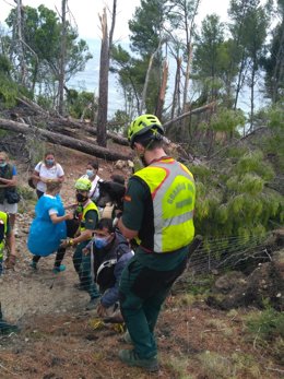 Efectivos de la Guardia Civil socorren a personas atrapadas por los pinos.
