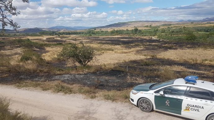 Zona afectada por un incendio en una finca no cultiva en Cintruénigo.