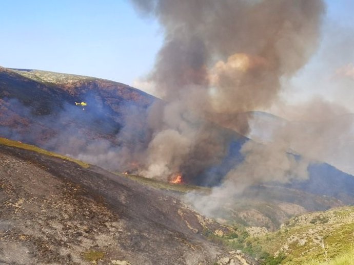 Un helicóptero descarga agua sobre las llamas en el incendio de la Vera, en Cáceres.