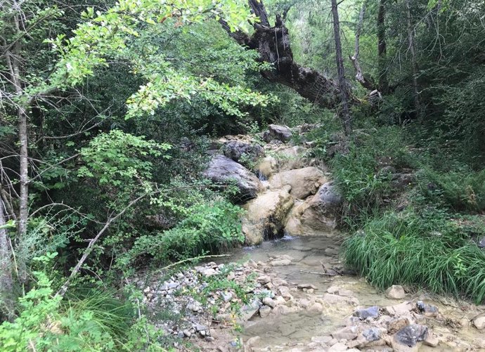 Espacio natural, fuente de energía para Bioo