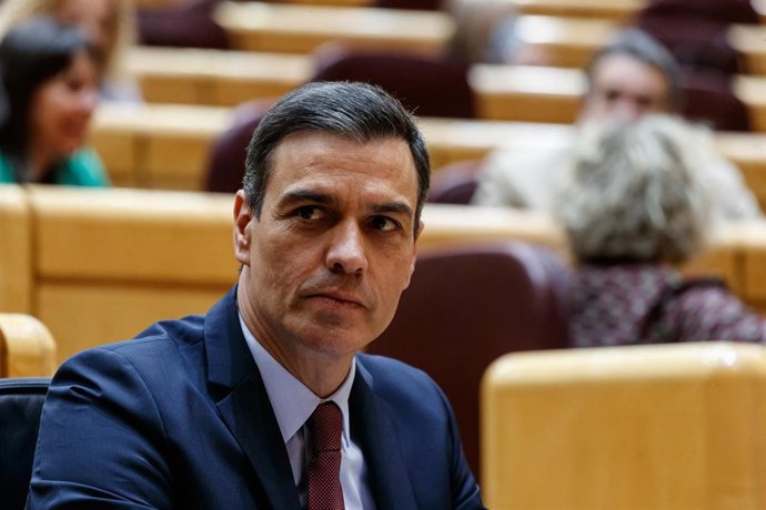 El presidente del Gobierno, Pedro Sánchez, en un pleno del Senado