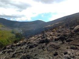 Restos del incendio en el Jerte y la Vera.