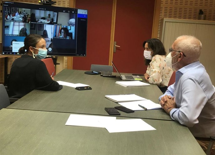 Reunión por videoconferencia entre la consejera de Derechos Sociales y Bienestar, Melania Álvarez, y representantes de la Comisión de Servicios Sociales de la Federación Asturiana de Concejos (FACC).