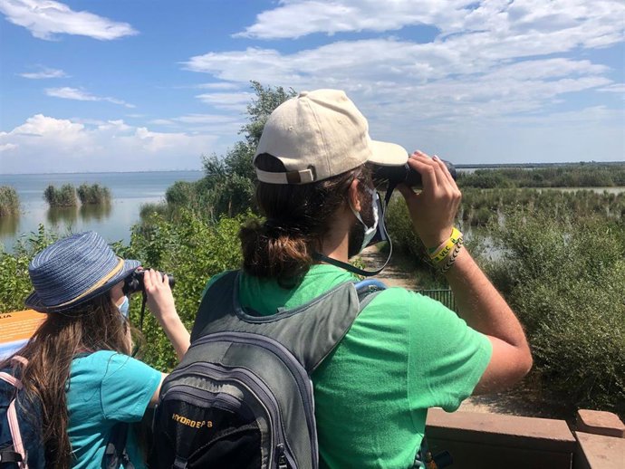 Actividades en l'Albufera