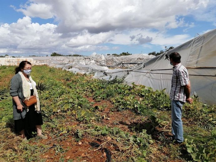 La consellera de Agricultura, Mae de la Concha, visita una explotación agraria dañada por el temporal.