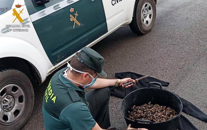 Detienen a tres furtivos en Islares con más de 20 kilos de percebes